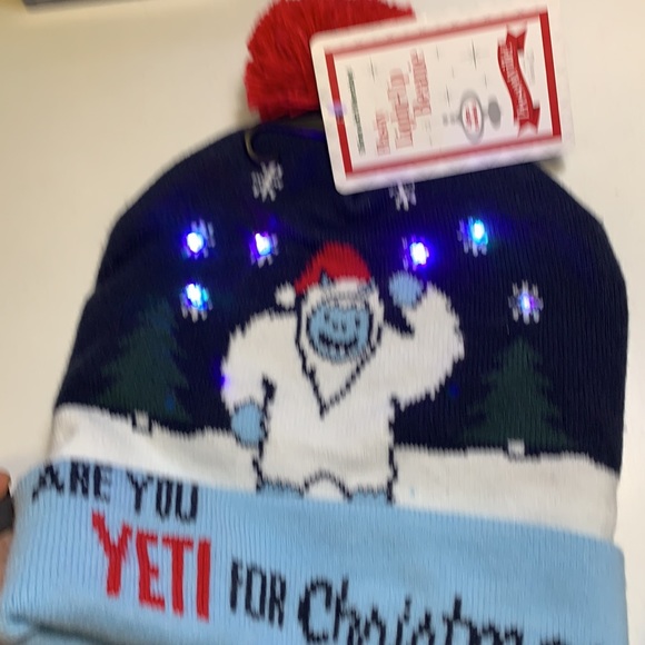 NWT❄️Shine With Wembley! flashy Light-Up Beanie ❄️ - Picture 8 of 11